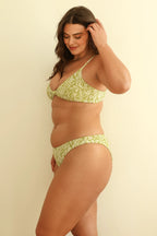 Twin Fin Matcha Triangle Nocturnal Cheeky Set